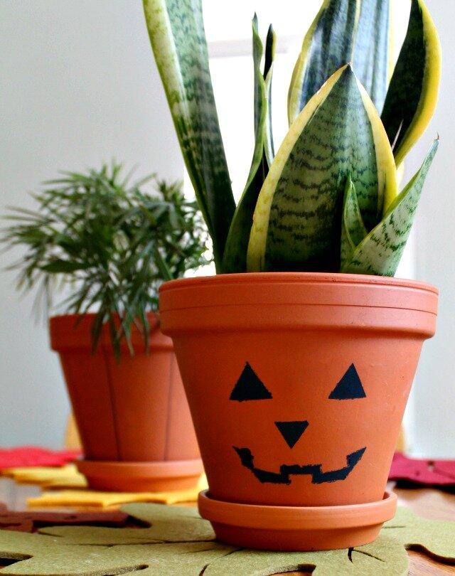 Wattlebird Paint Your Plant Pots Like Pumpkins Diy Pumpkin Planters